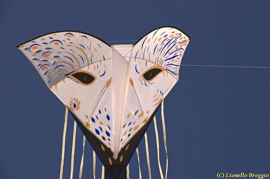 32 FESTIVAL CERVIA 2012 - 223.jpg